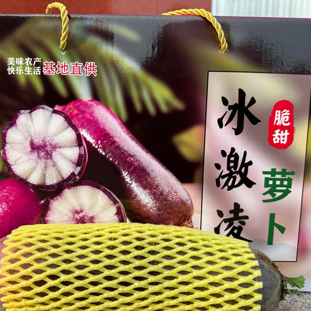 专属山东潍坊萝白礼盒冰激林萝卜产地直发