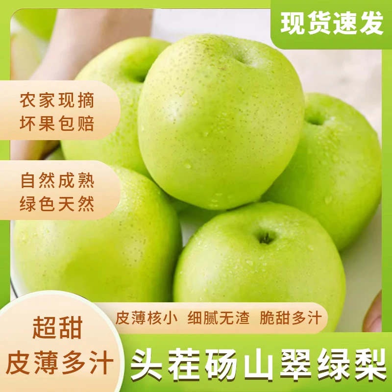 【现摘现发】头茬砀山翠绿梨产地直发脆甜多汁5斤应季新鲜水果