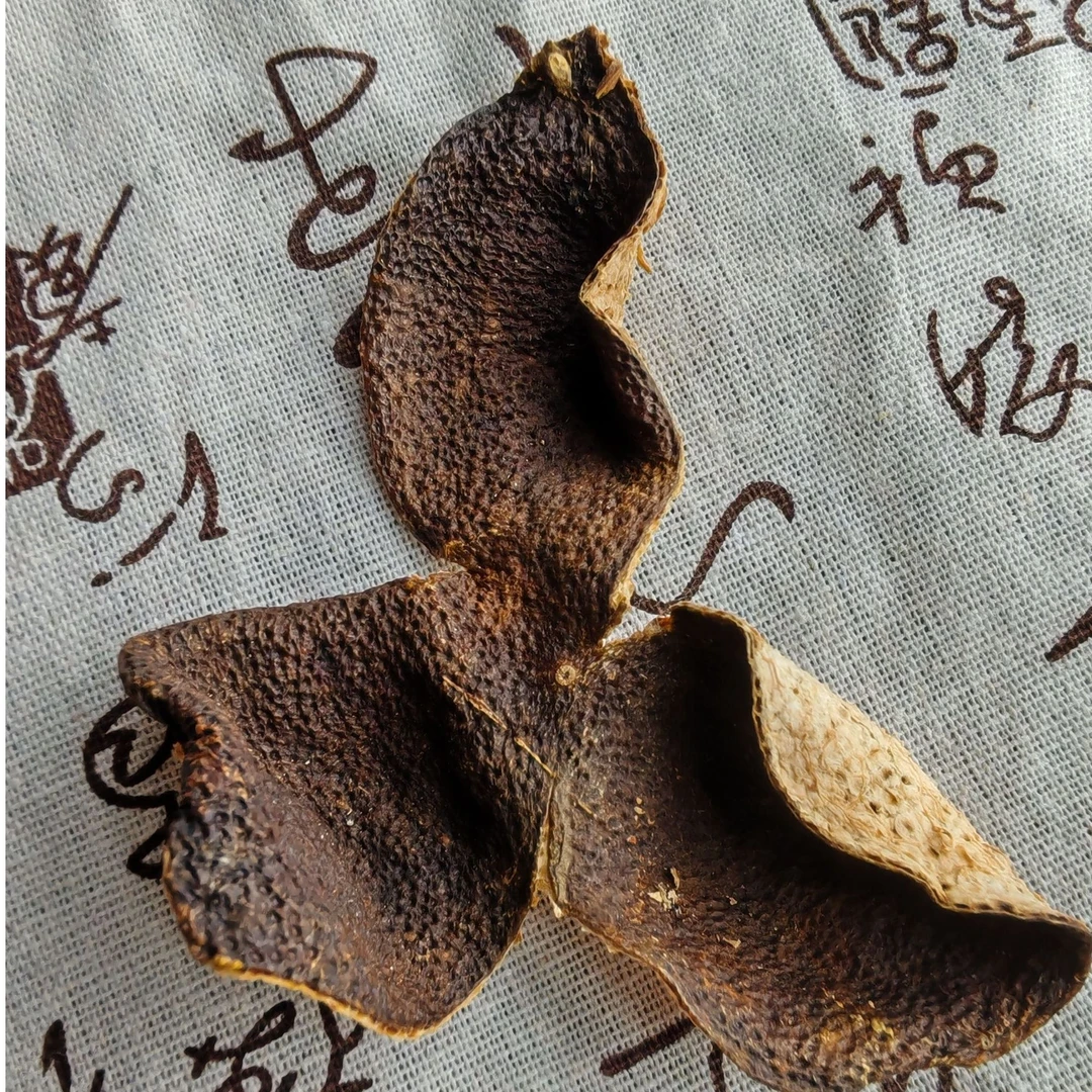 【自用款】2018年茶坑圈枝1 0年老树 大红皮