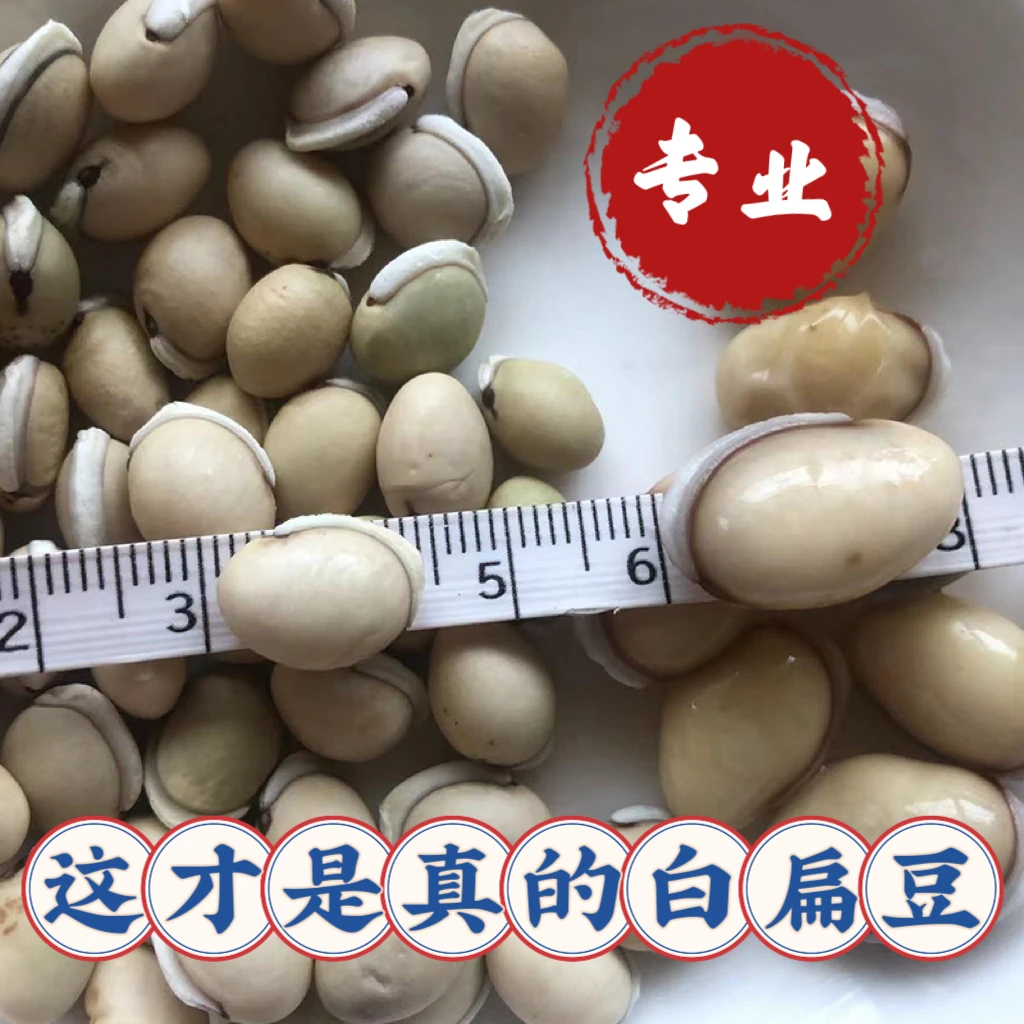 四川老品种 白扁豆500克 1000克 白扁豆吃饭 白扁豆鉴别食用