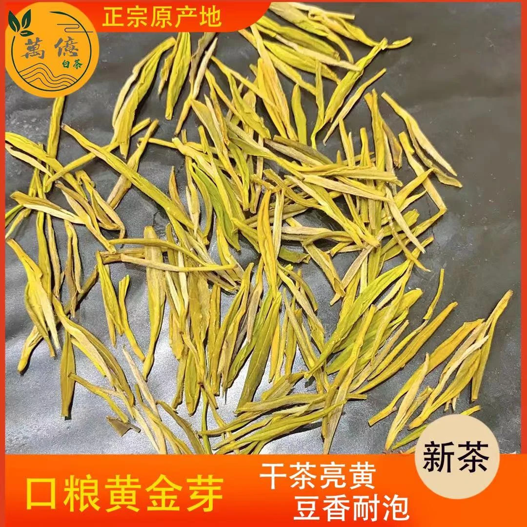 A79黄金芽 第一批次 口粮茶【黄金芽 豆香板栗香浓郁 香浓耐泡 】