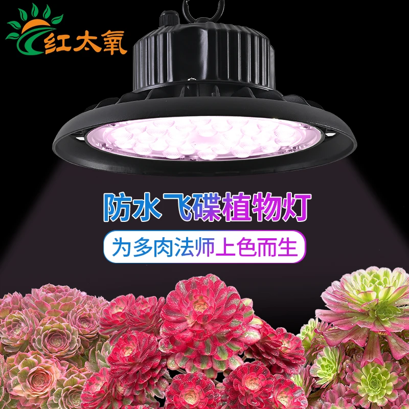 红太氧全光谱植物生长灯风冷球泡筒灯家用绿植多肉法师补光灯