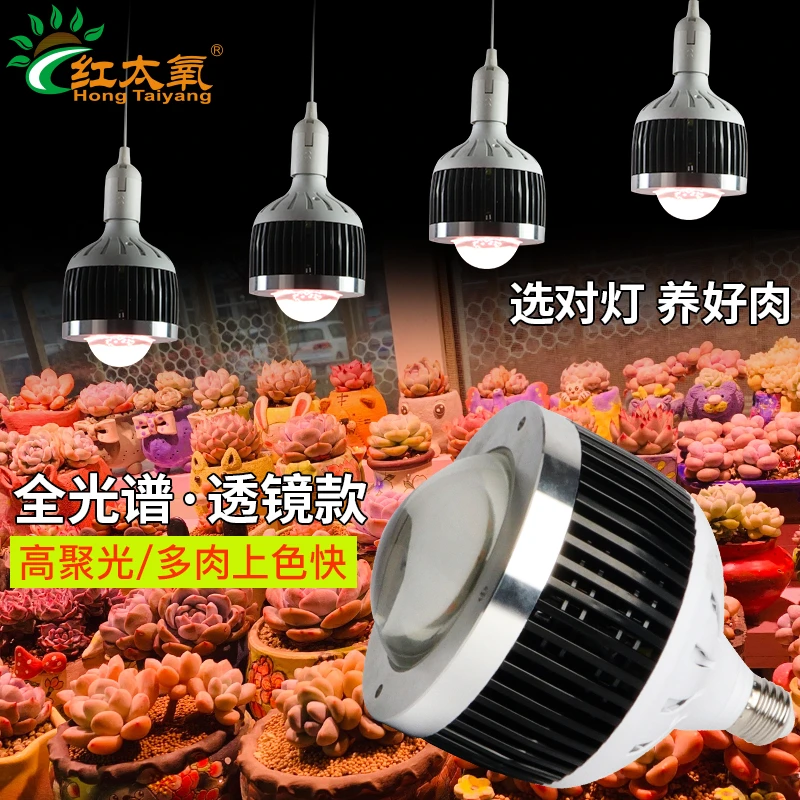 【小董专属】全光谱植物灯风冷透镜球泡筒灯灯排家用室内多肉补光灯