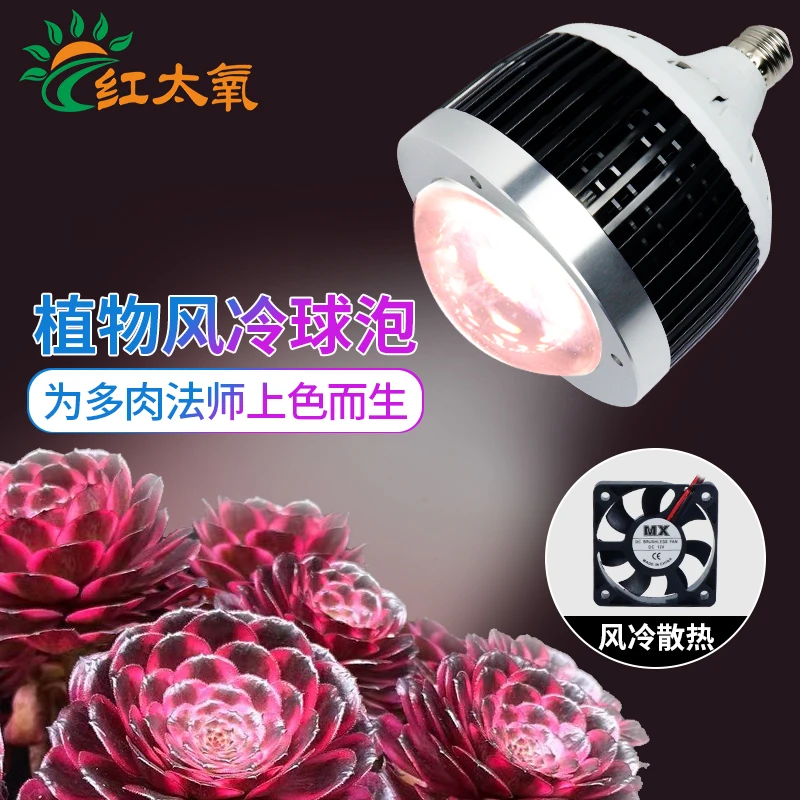 【校长专属】多肉法师补光灯室内家用花卉上色全光谱植物球泡生长灯