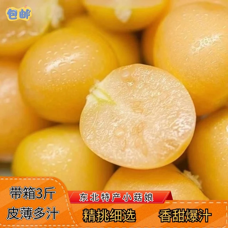 东北小笨菇娘皮薄多汁新鲜清甜香甜爆汁带箱3斤包邮产地发货