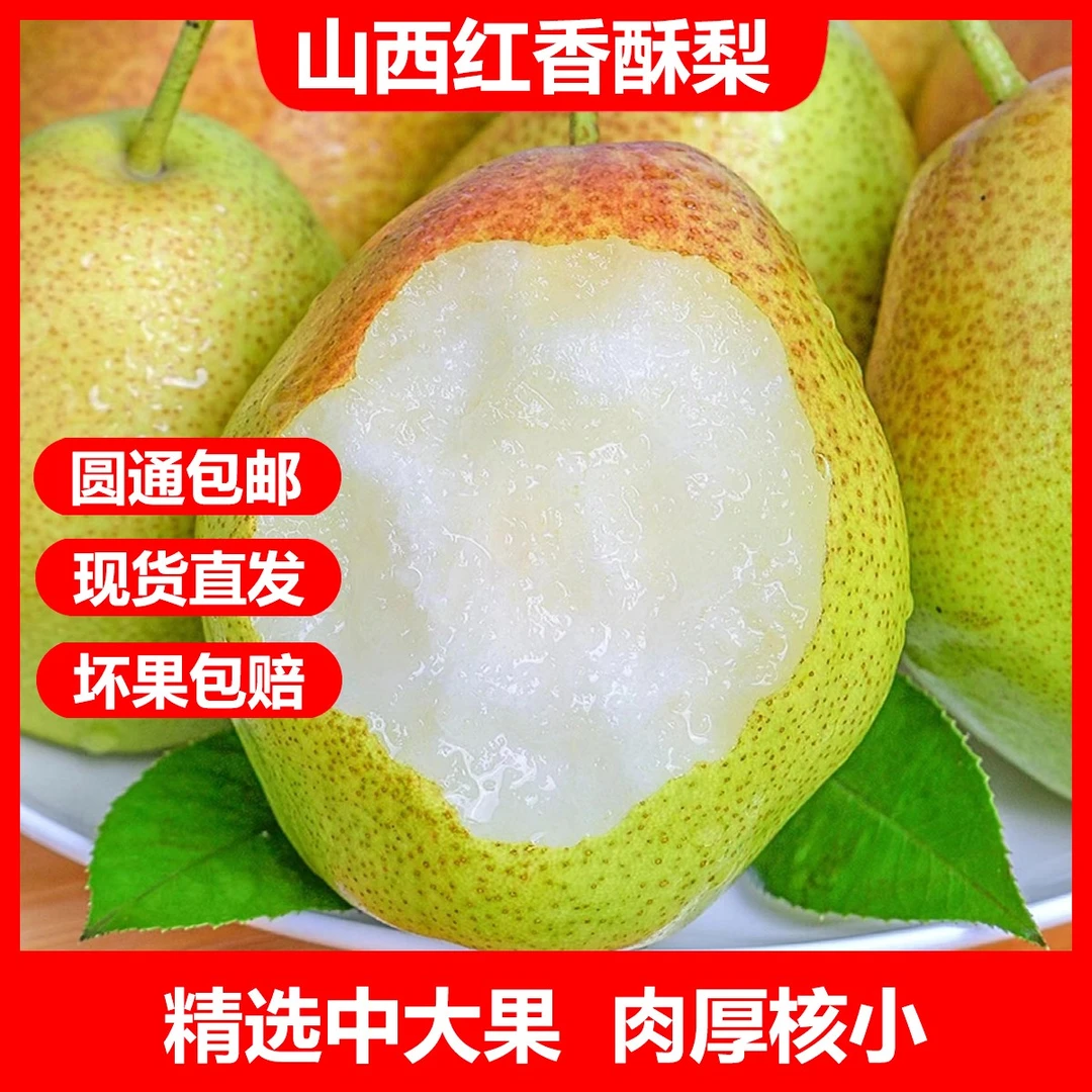 山西红香酥梨新鲜细腻口感鲜甜多汁爽口美味脆甜青香甜脆梨汁水