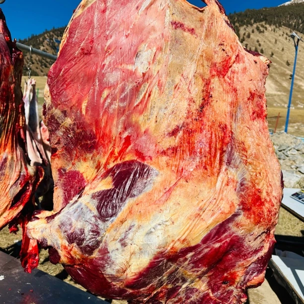 青海海西黄膘牦牛前腿肉4-10斤