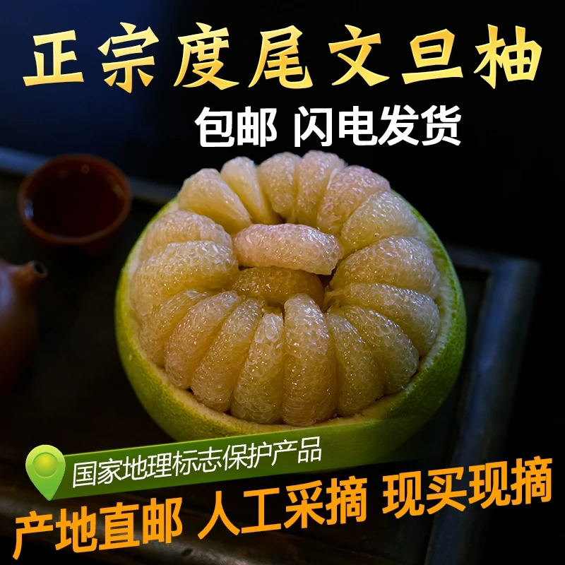 【现摘现发】正宗度尾三十年老树文旦柚应季水果新鲜现摘孕妇柚子