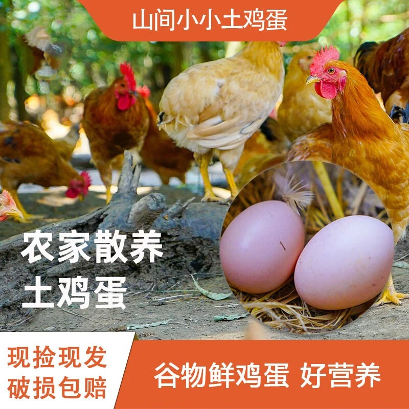 【40枚】散养土鸡蛋农家土鸡蛋正宗蛋高山散养五谷喂养新鲜土鸡蛋