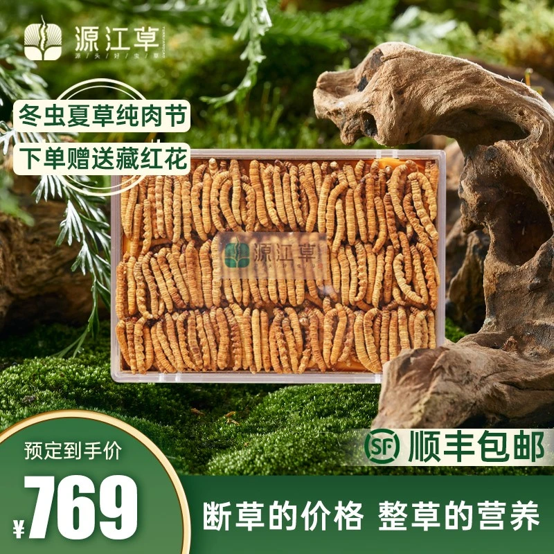 源江草大断草10克精选品质冬虫夏草干虫草滋补泡酒食用晾晒高品质