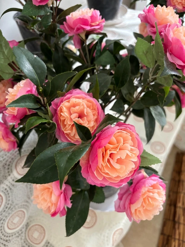 英国八号茶梅带花苞发货