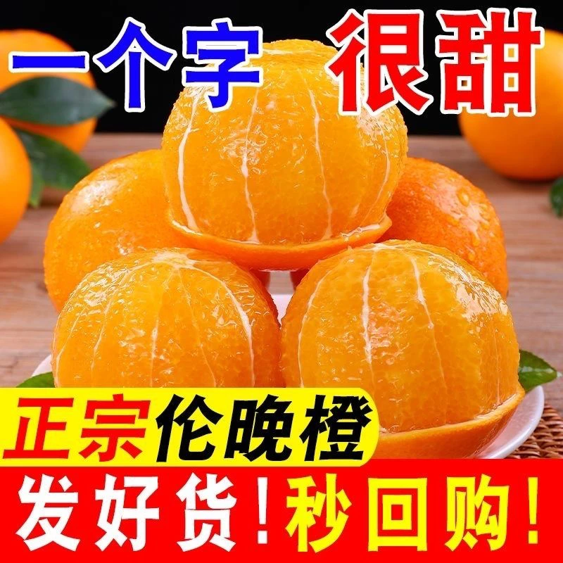 （帝王橙）湖北秭归伦晚脐橙子现采现发爆甜多汁