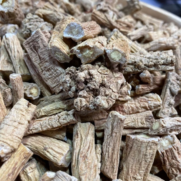 野外自然生长老党参中条原汁原味自然晾晒甘肃岷县原产地发货