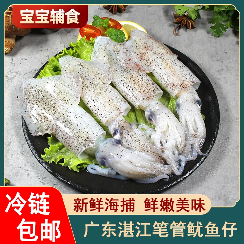 二哥海鲜 新鲜海捕海兔鱿鱼笔管 净重到手3斤 约45-55条