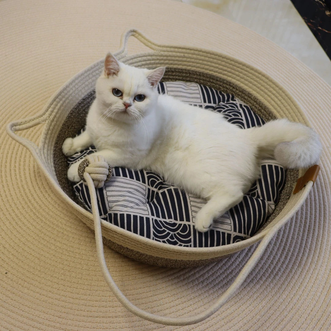 【新品】猫窝四级通用猫窝耐抓可水洗通用猫窝