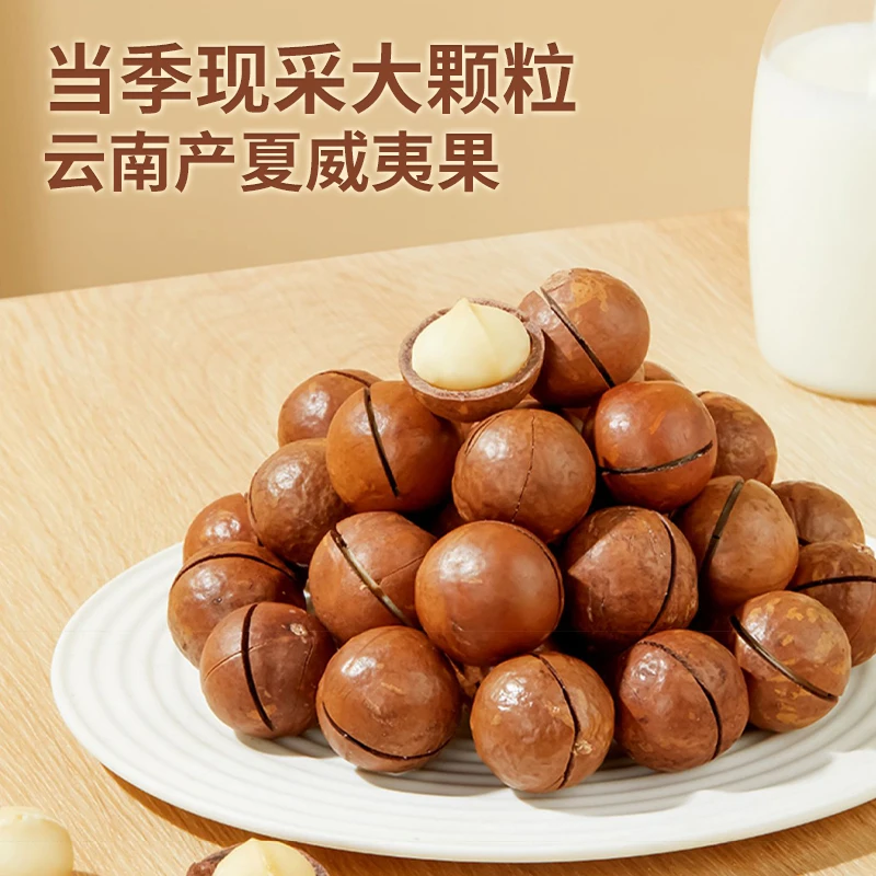 【阿黎特产】云南夏威夷坚果原味果（直径26毫米及夏威夷坚果