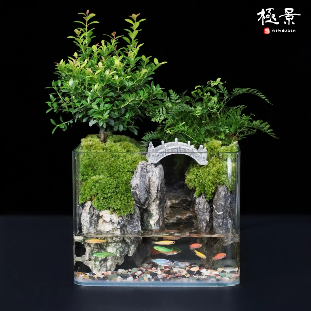 忆江南（尺寸20*14*16）小叶赤楠青龙石室内绿植桌面流水景观