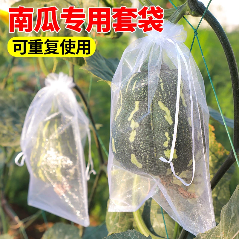 南瓜套袋防虫袋专用网袋无纺布防鸟袋子西瓜冬瓜柚子水果蔬果网套