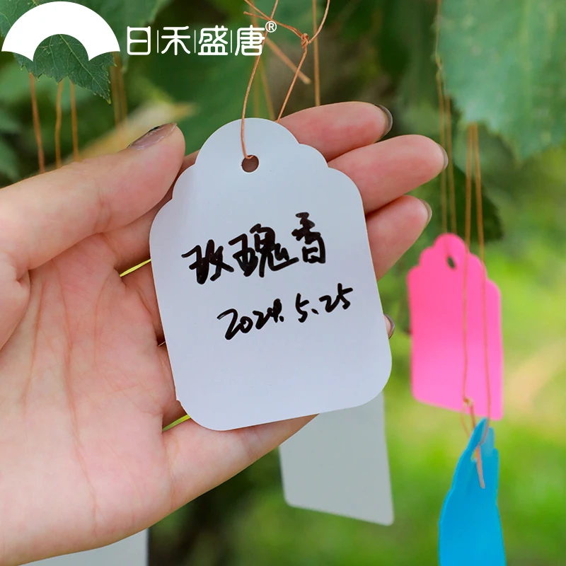 园艺标签牌多肉标识花卉绿植标签植物记录防水塑料插地牌记号标记