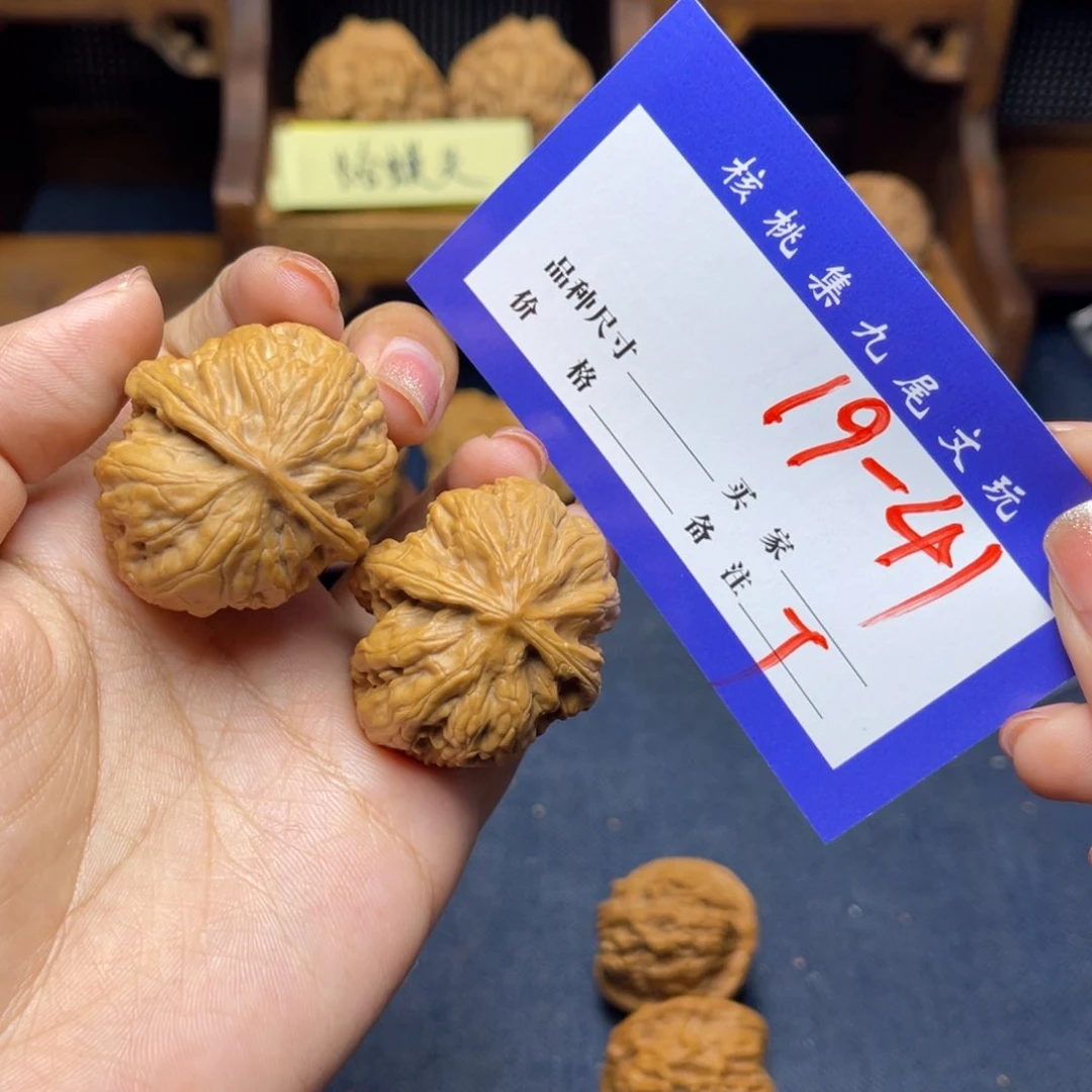 桃核把件-41 野狼 33 t