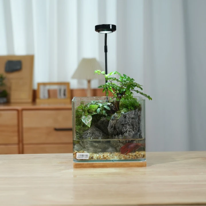 新手微景观·<千叶殇>送朋友百搭摆件