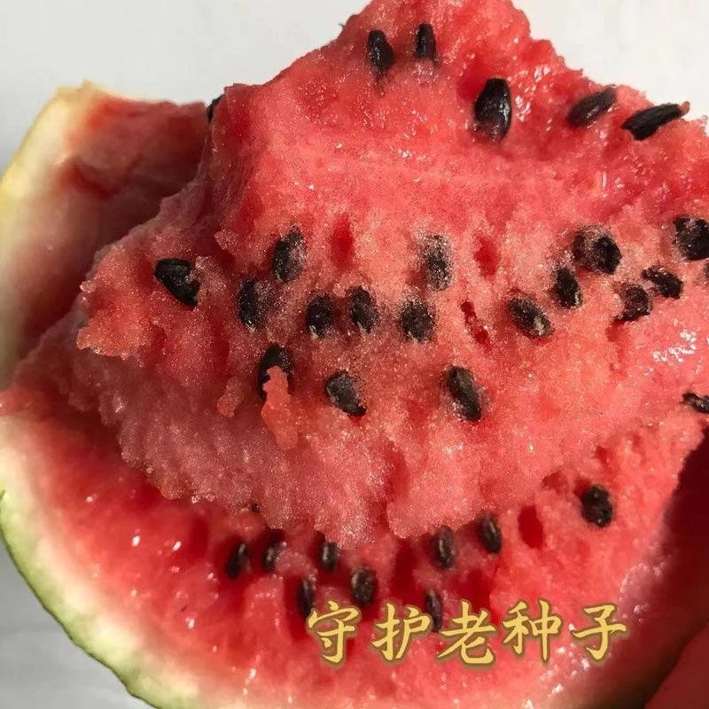 农家传统种子西瓜种子老种子可留种农村土种子