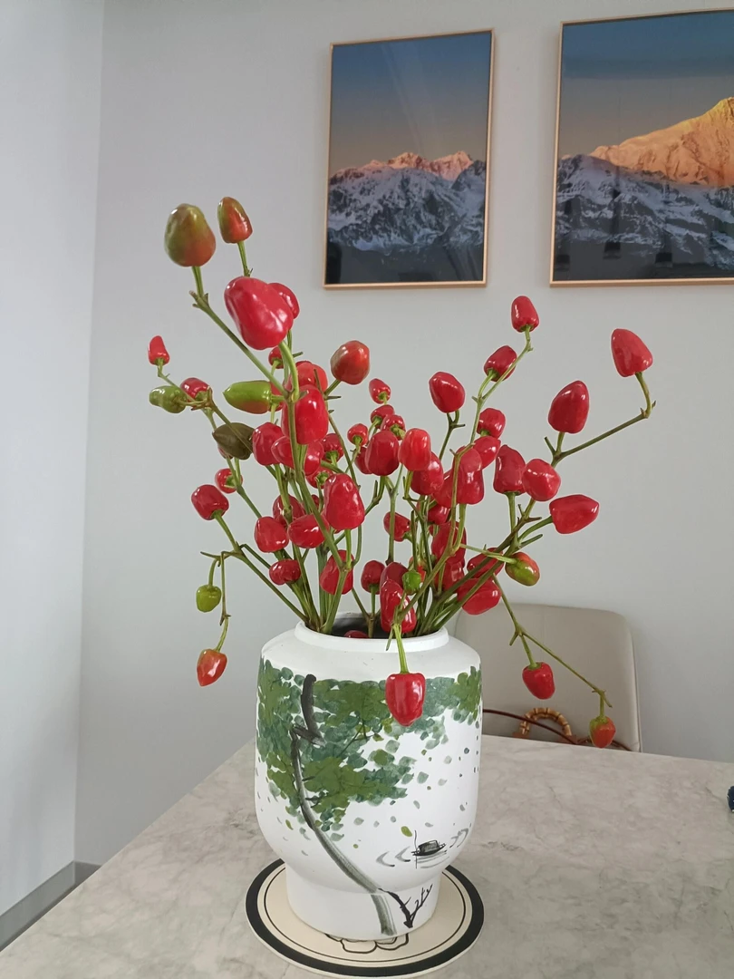 【小辣椒1把   秋日丰收】便宜好看 | 花期长 | 鲜花订购同城配送
