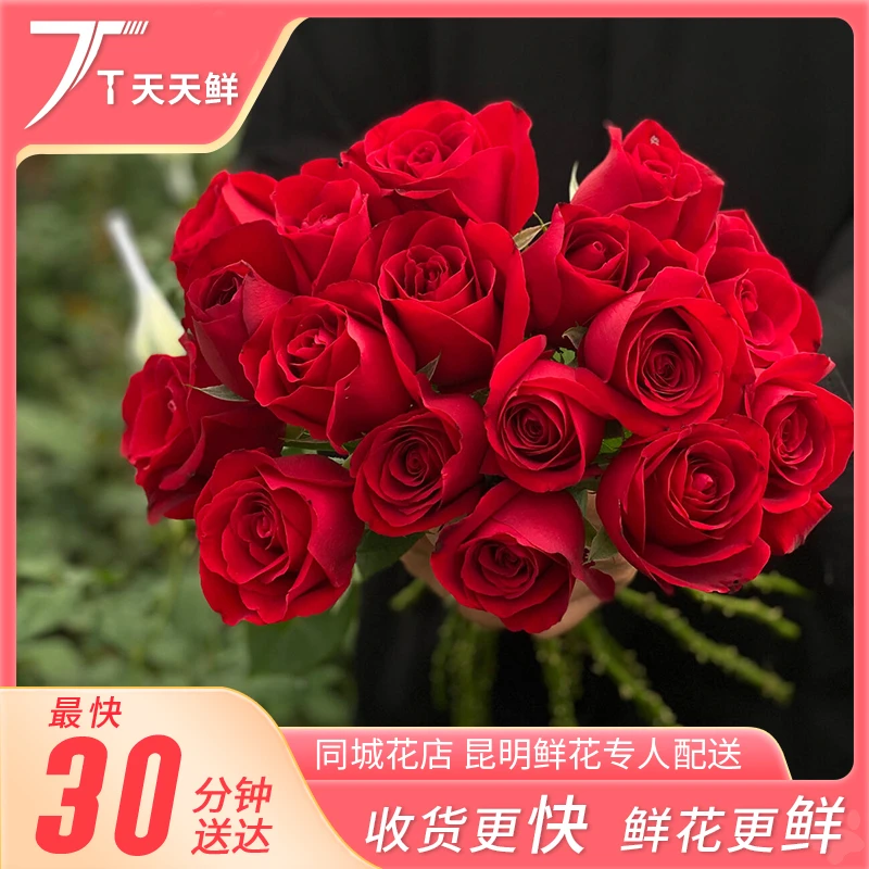 【一小时到家・卡罗拉红玫瑰 10支】  高品质 | 花期长 | 天天鲜花小时达同城配送