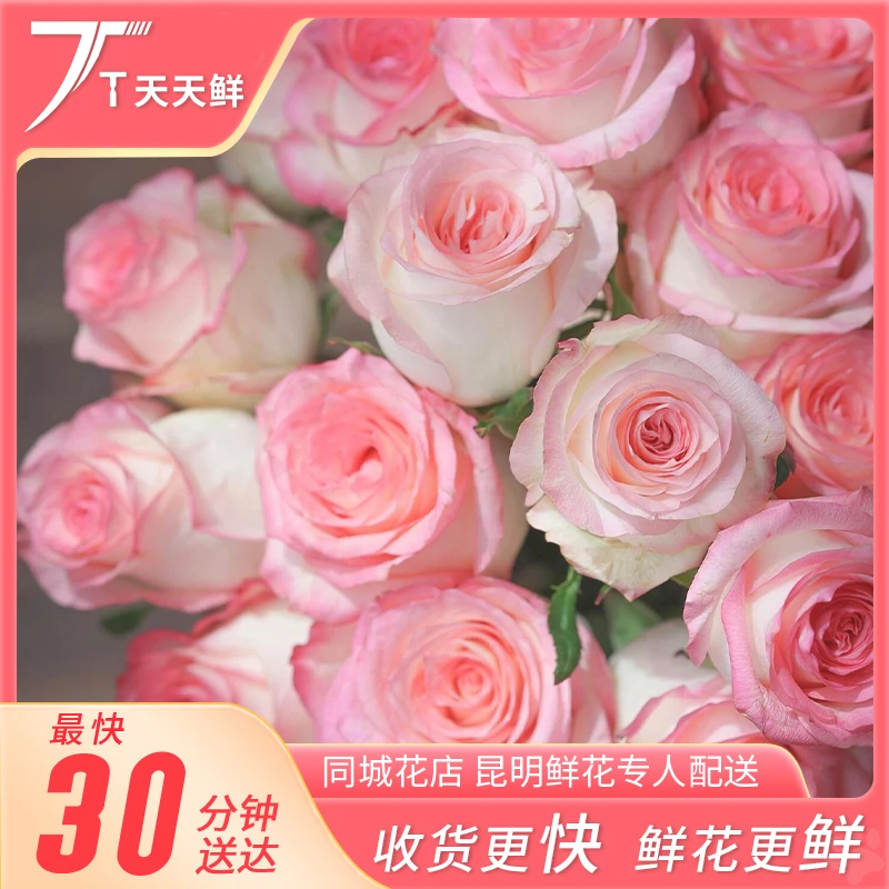 【 粉白公主 】爱莎单头玫瑰 10支  少女粉色 | 花期长 | 鲜花小时达同城配送 冬日推荐