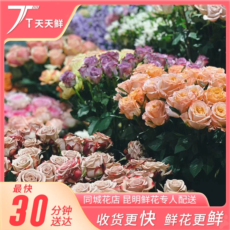 【 颜色随机盲盒 】云南单头玫瑰 10支  进店必买的玫瑰  天天鲜花小时同城达配送