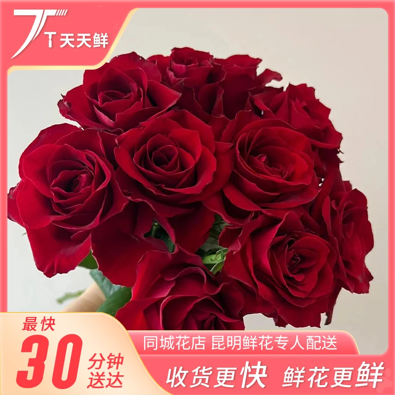 【传奇红玫瑰10支】红玫瑰     波浪花边