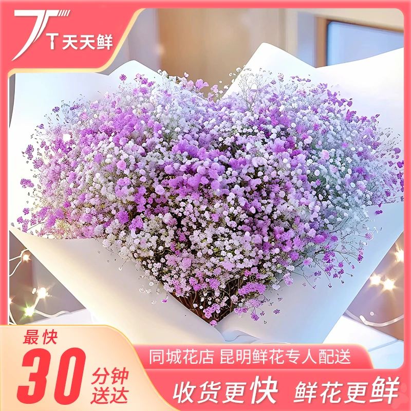 【一小时到家・彩色满天星一把】可做干花同城 | 天天鲜花同城小时达配送