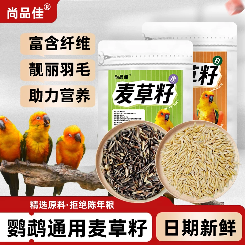 尚品佳鹦鹉双色燕麦草籽小太阳和尚牡丹玄凤草籽零食