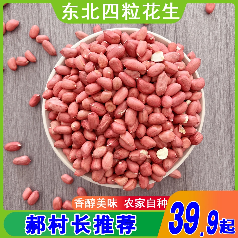 东北长白山小粒花生四粒红花生500g/包邮红皮花生花生米自种食用