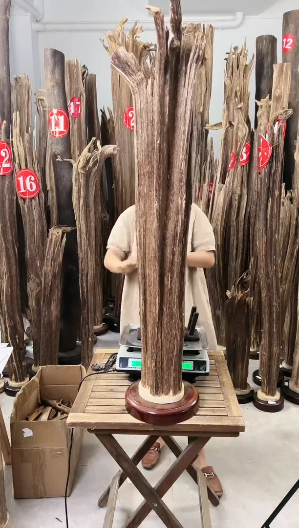 【闪购商品】沉香摆件沉香摆件+底座72