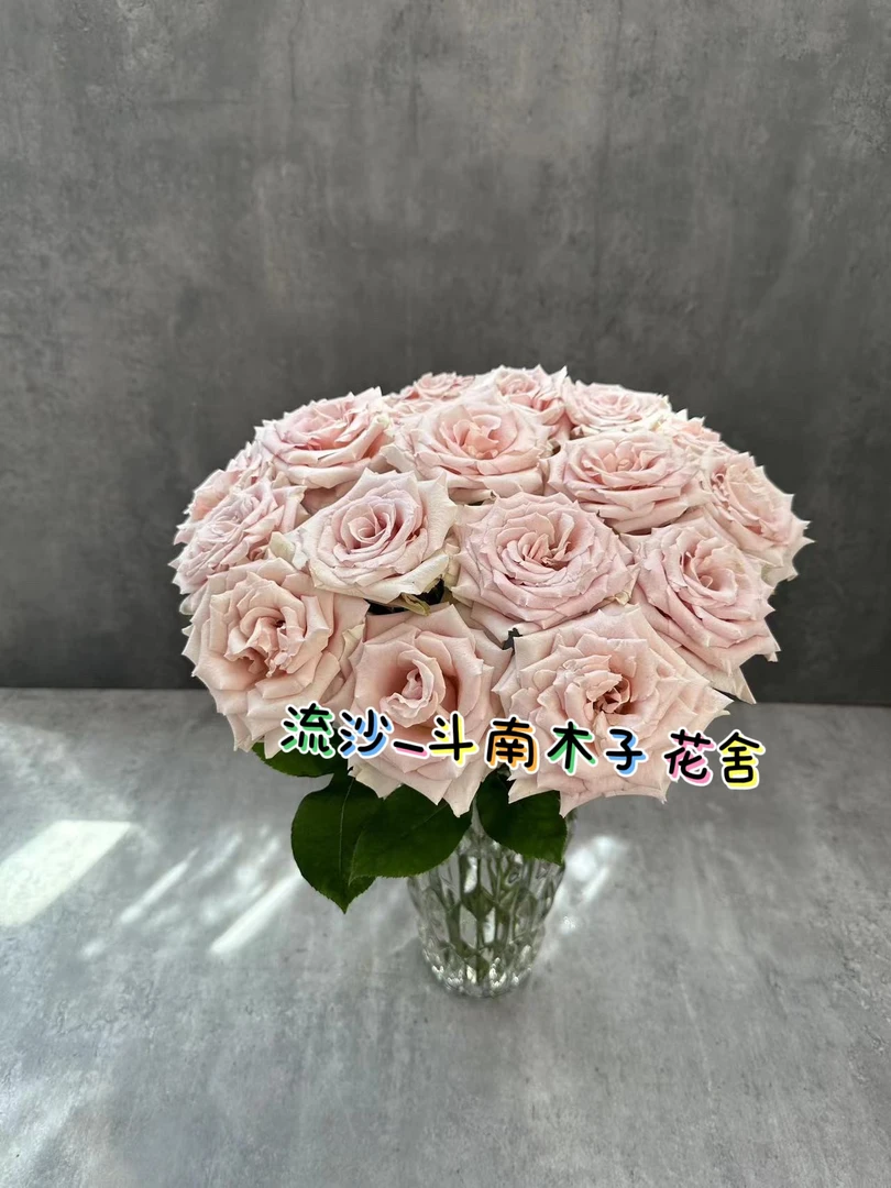 [流沙]玫瑰一单不发货！！