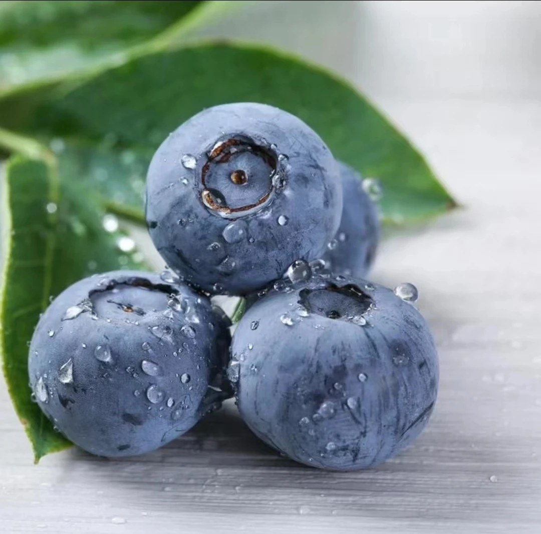 新鲜脆甜水果蓝莓