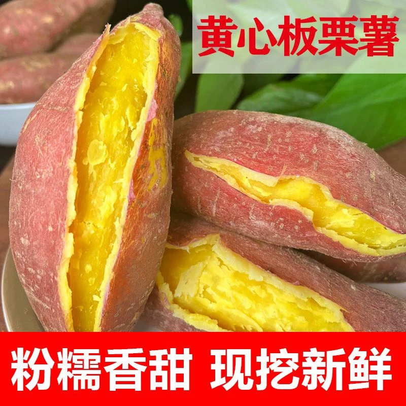 【抢购中】新鲜当季黄心板栗薯1/10斤红薯粉糯香甜番薯沙地蜜薯地瓜