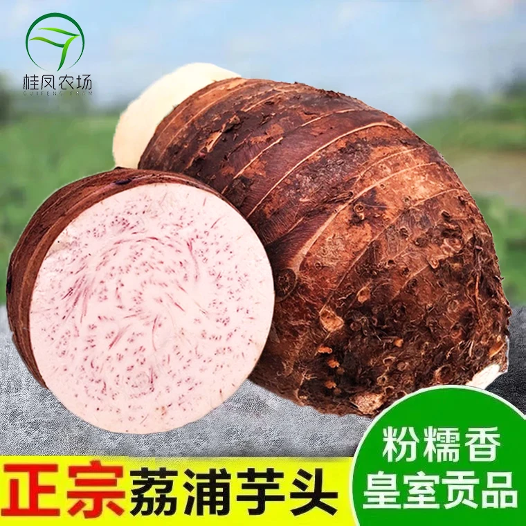 桂凤农场【顺丰】正宗广西荔浦芋头香芋大紫芋新鲜产地农场现挖现发