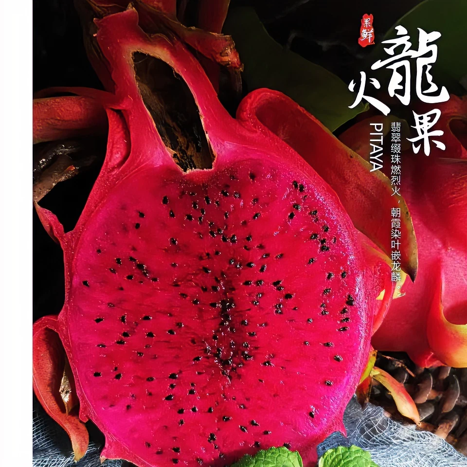 参将署参将府水果种植基地红肉火龙果现摘直邮6个装8.9斤新鲜成熟