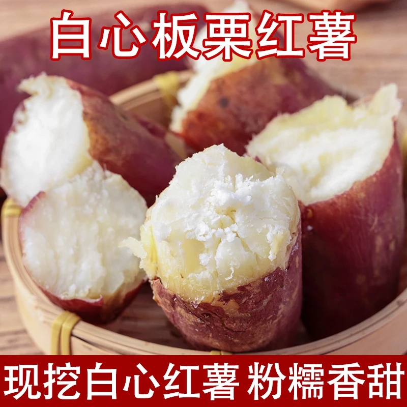 新鲜现挖白心红薯粉面香甜老品种红皮白瓤板栗地瓜白薯山芋