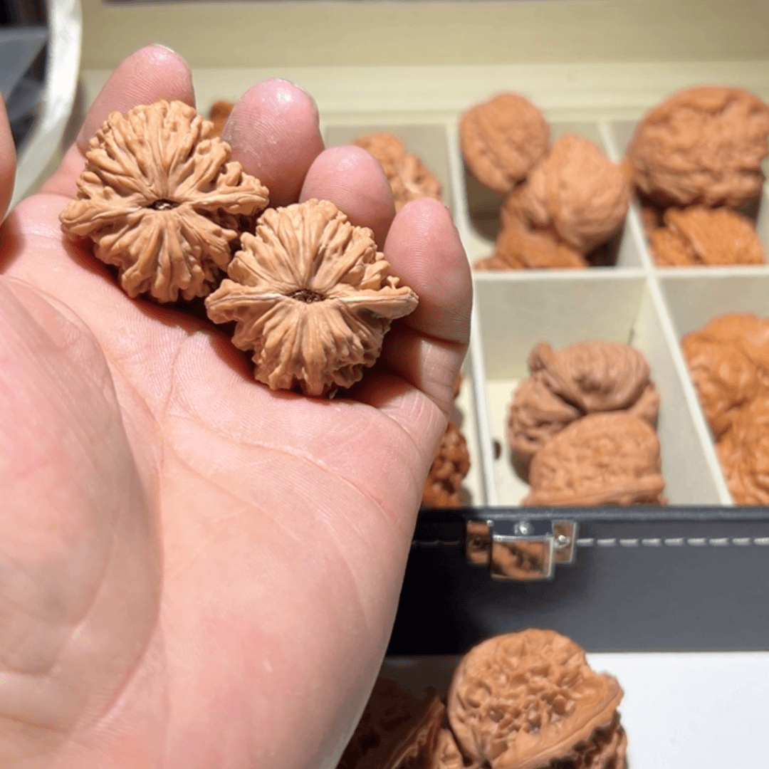 【闪购商品】文玩核桃把件9***8