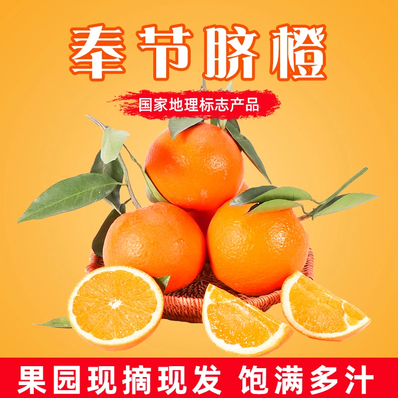 【顺丰发货】正宗奉节脐橙 原产地种植新鲜采摘无核香甜酸甜