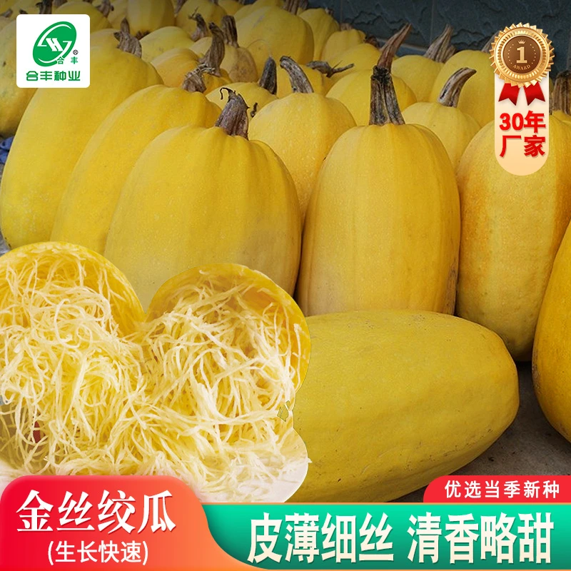 金丝绞瓜种子 金瓜搅瓜蔬菜种籽春季简单天然高产种植蔬菜种籽