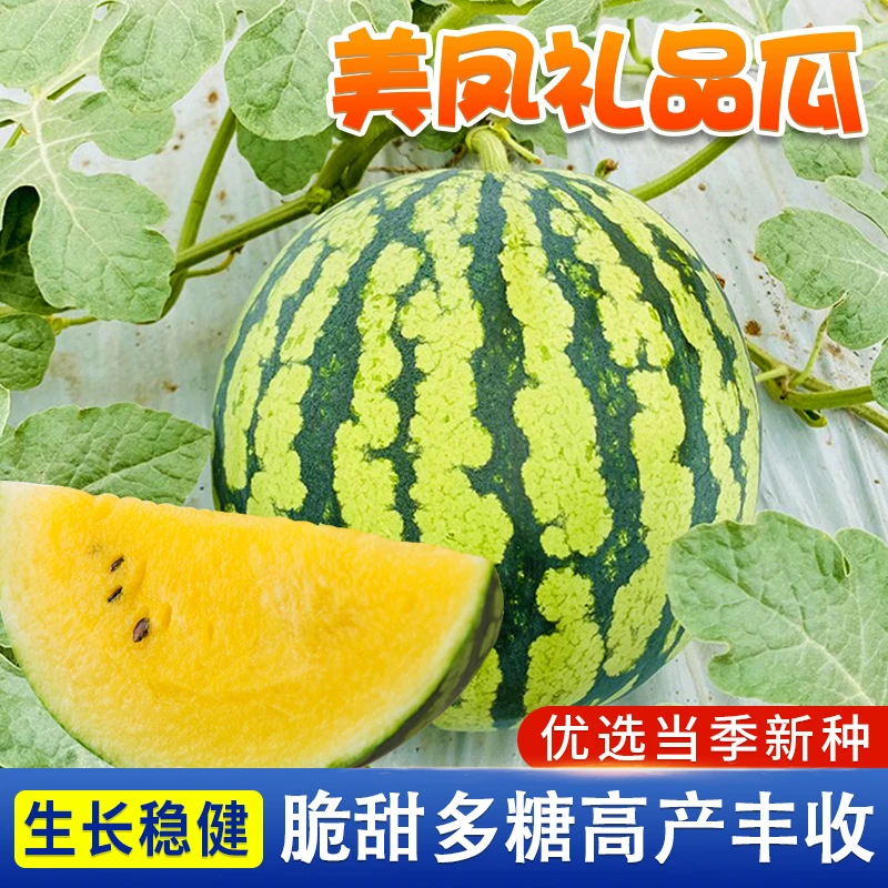 绿皮黄瓤西瓜种子 超甜薄皮大瓜黄肉甜西瓜籽春季水果蔬菜种籽