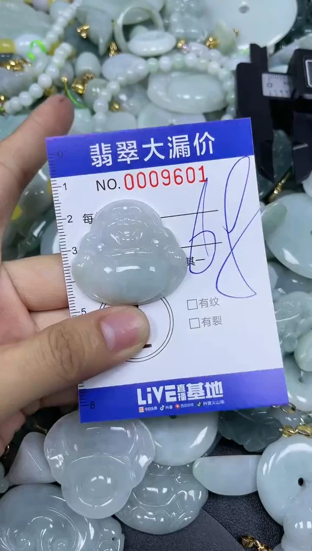 【闪购商品】翡翠颈饰未镶嵌闪购009601