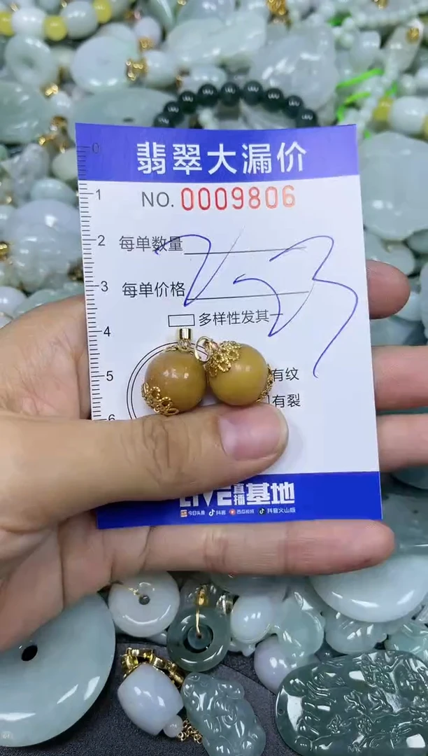 【闪购商品】翡翠颈饰未镶嵌闪购009806