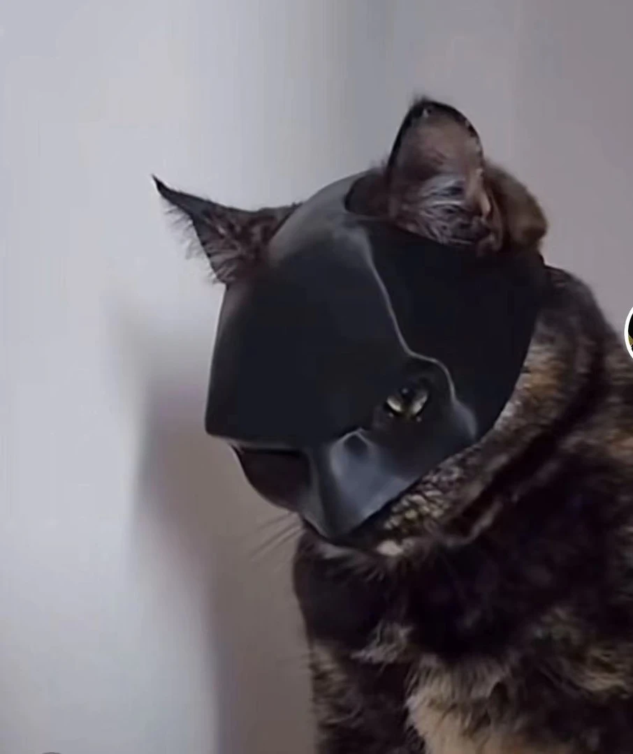 3d打印蝙蝠侠宠物小猫小狗头盔玩具头饰