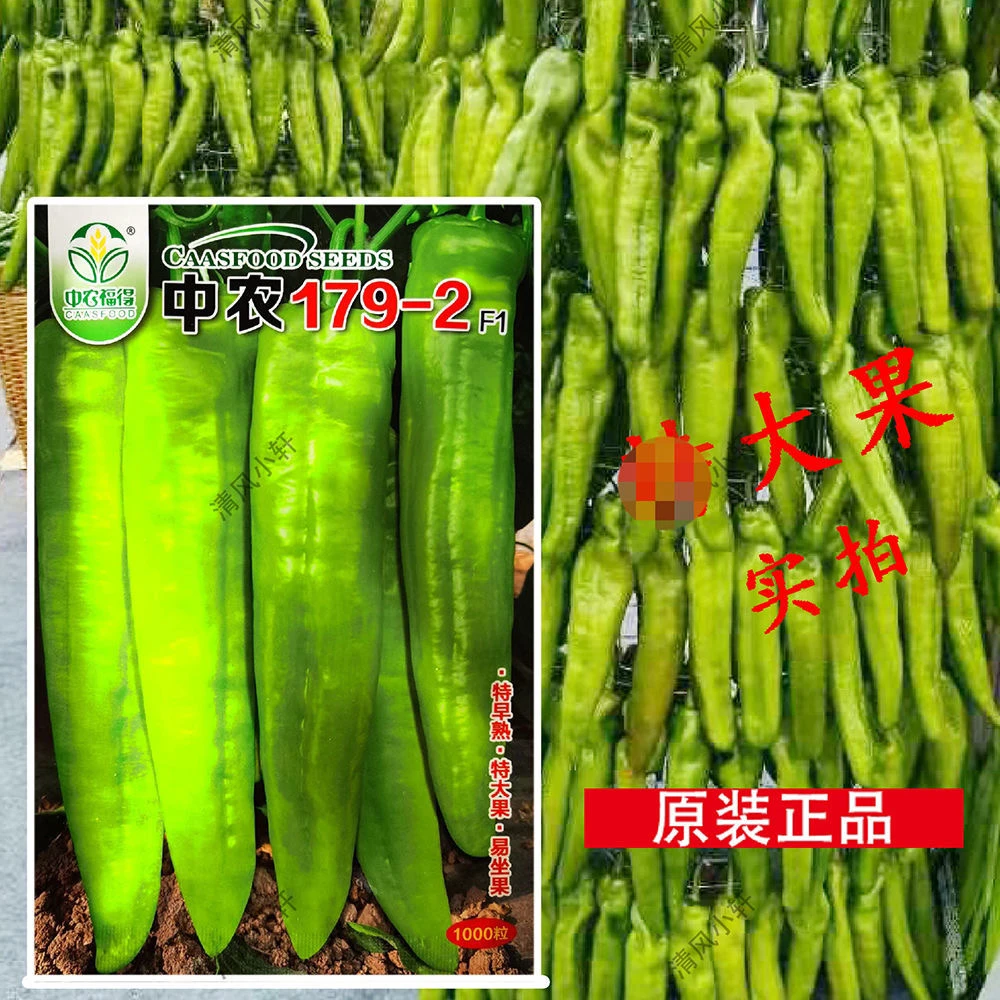 中农179-2早熟大果型粗牛角椒种子黄绿皮耐热耐运高产牛角椒种孑