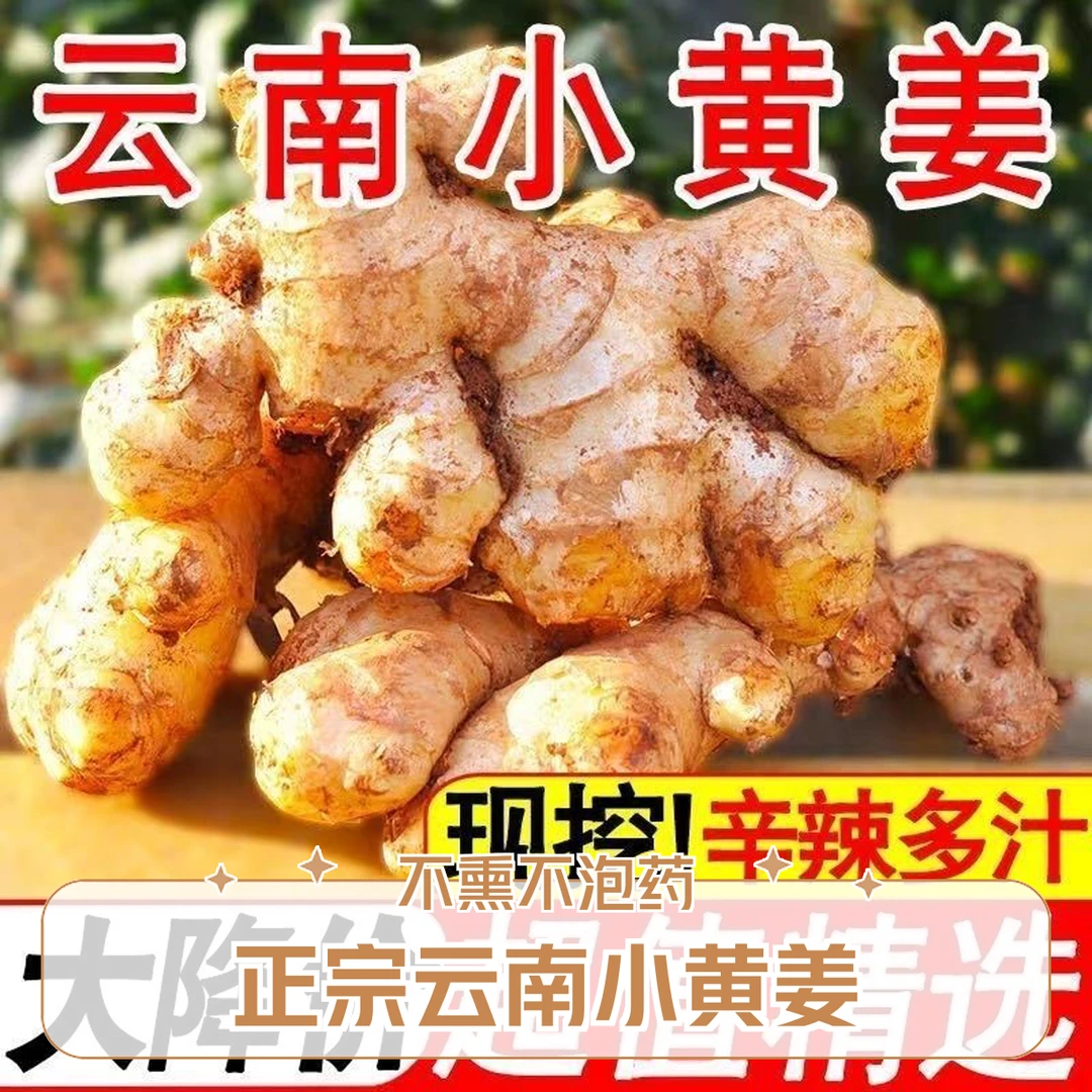 【现挖山地姜】云南小黄姜生嫩姜 味浓香辣足 不熏不泡药 3-9斤包邮